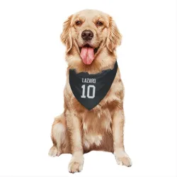 New York Jets Allen Lazard Black Pet Bandana for Dog & Cat