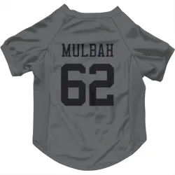 New York Jets Fatorma Mulbah charcoal Pet Jersey for Dog & Cat