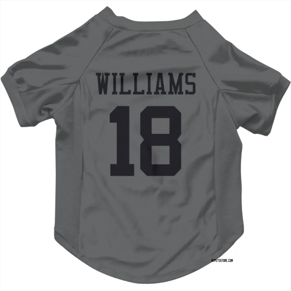 New York Jets Isaiah Williams charcoal Pet Jersey for Dog & Cat