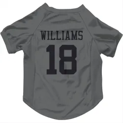 New York Jets Isaiah Williams charcoal Pet Jersey for Dog & Cat