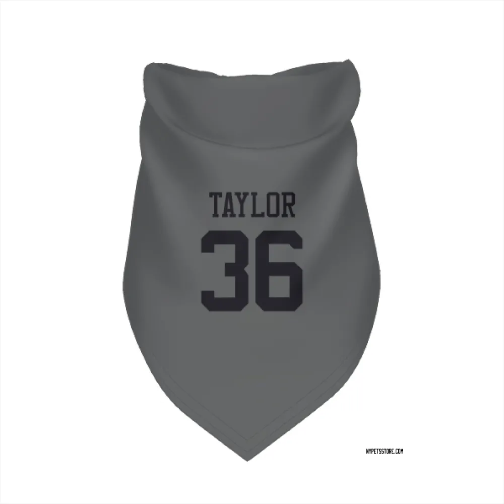 New York Jets Ja'Sir Taylor charcoal Pet Bandana for Dog & Cat