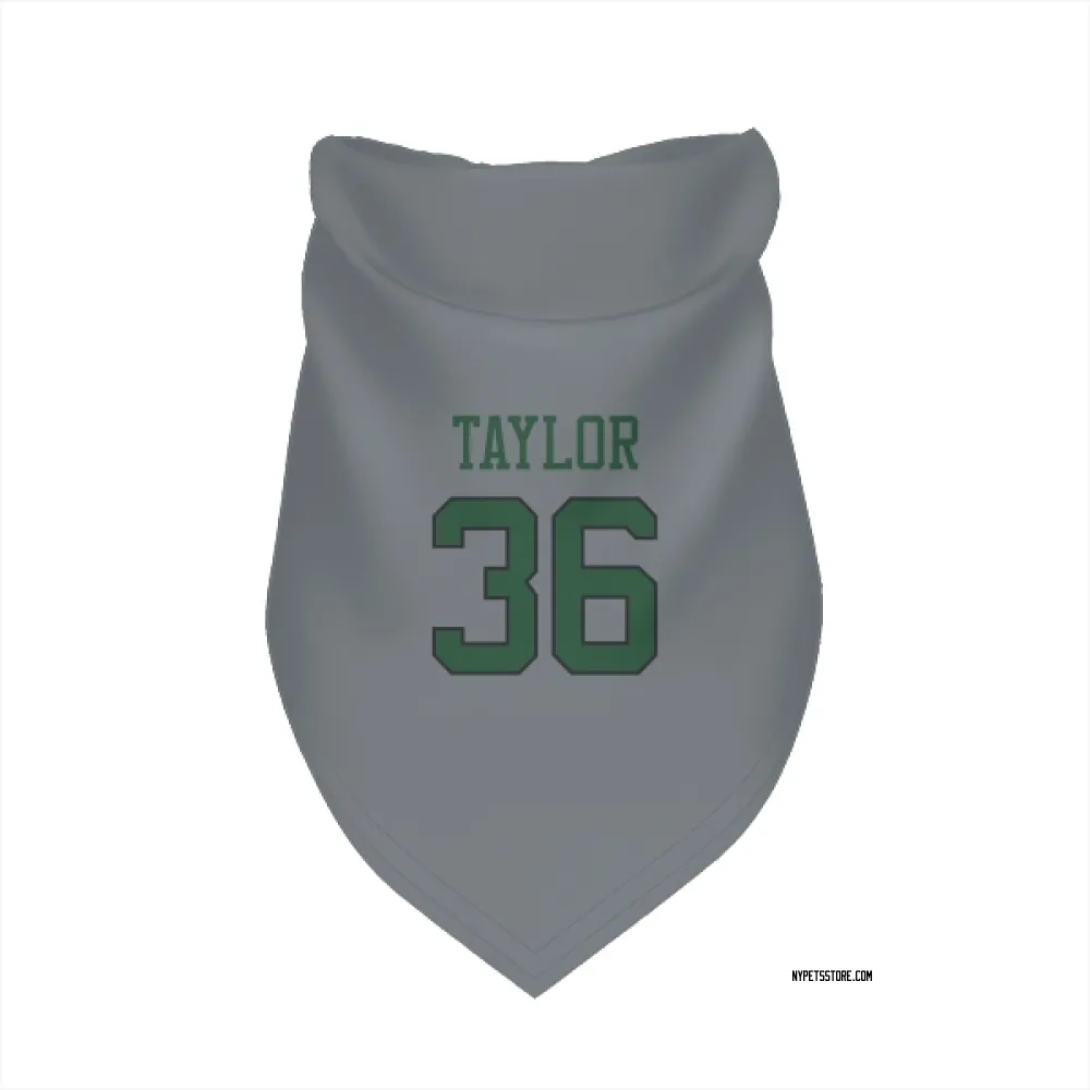 New York Jets Ja'Sir Taylor Gray Pet Bandana for Dog & Cat