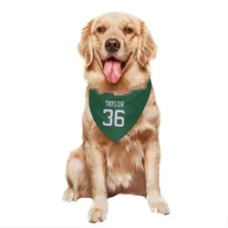 New York Jets Ja'Sir Taylor Green Pet Bandana for Dog & Cat