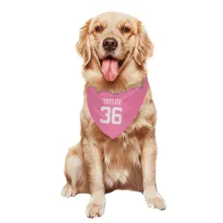 New York Jets Ja'Sir Taylor Pink Pet Bandana for Dog & Cat