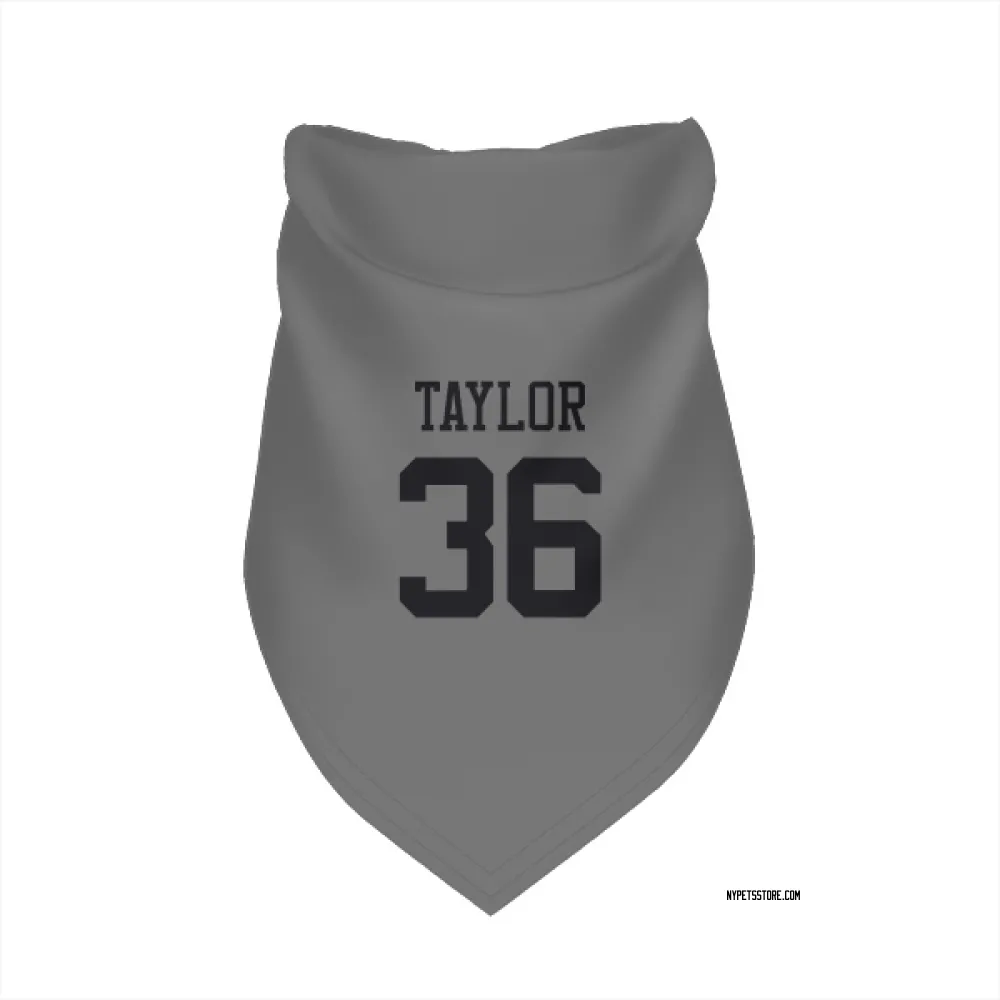 New York Jets Ja'Sir Taylor Silver Pet Bandana for Dog & Cat