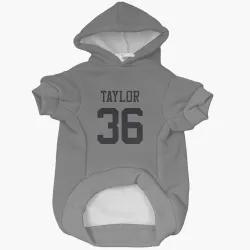 New York Jets Ja'Sir Taylor Silver Pet Hoodie for Dog & Cat