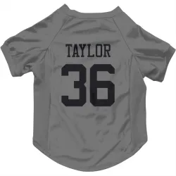 New York Jets Ja'Sir Taylor Silver Pet Jersey for Dog & Cat