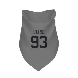 New York Jets Kameron Cline Silver Pet Bandana for Dog & Cat