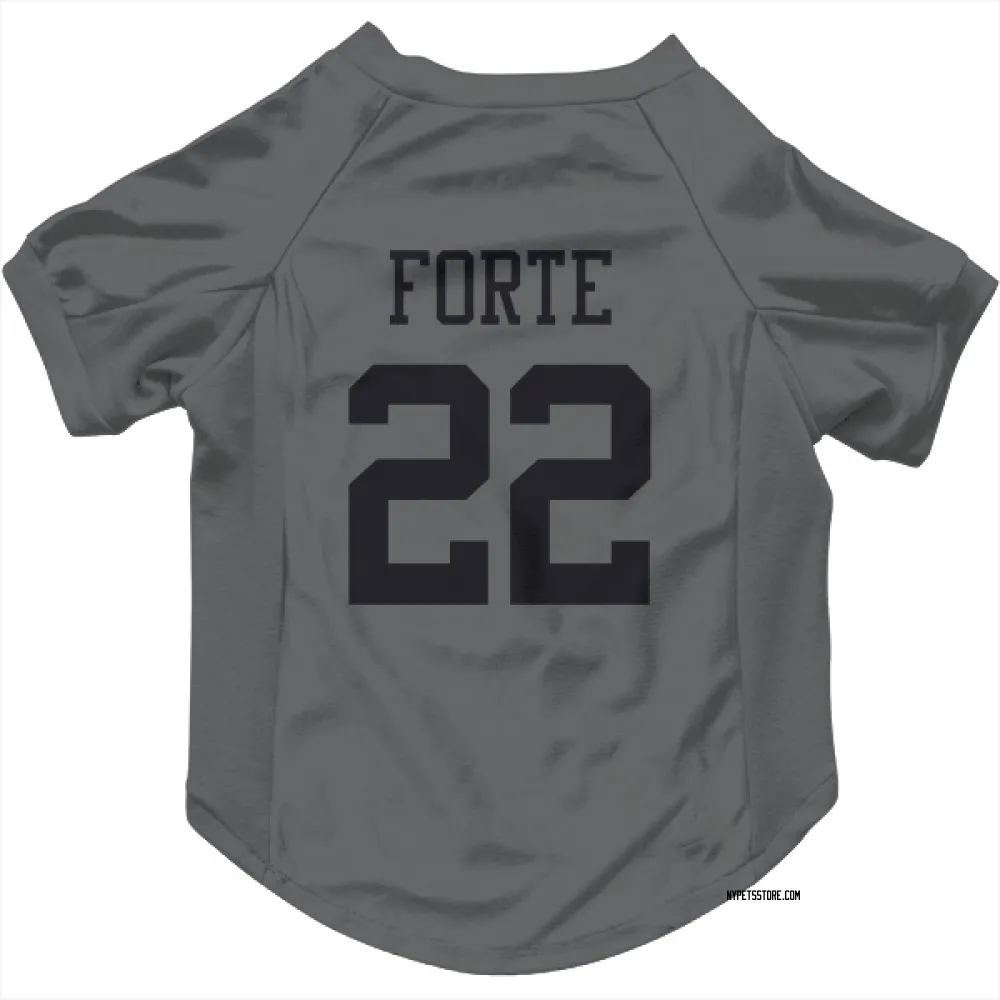 matt forte jersey