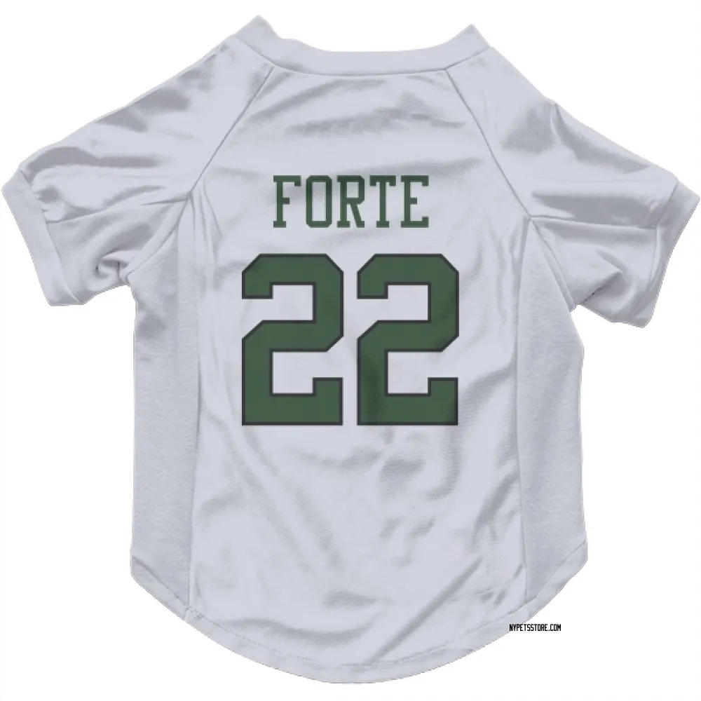 matt forte jersey